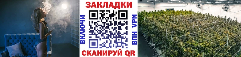 Галлюциногенные грибы Барыш
