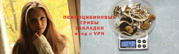 соль ск Арсеньев