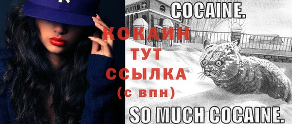 соль ск Арсеньев