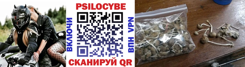 купить   Барыш  Галлюциногенные грибы мицелий 